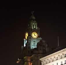 Andy Patton - LIver Building